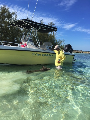 boat for bahama swimming pigs